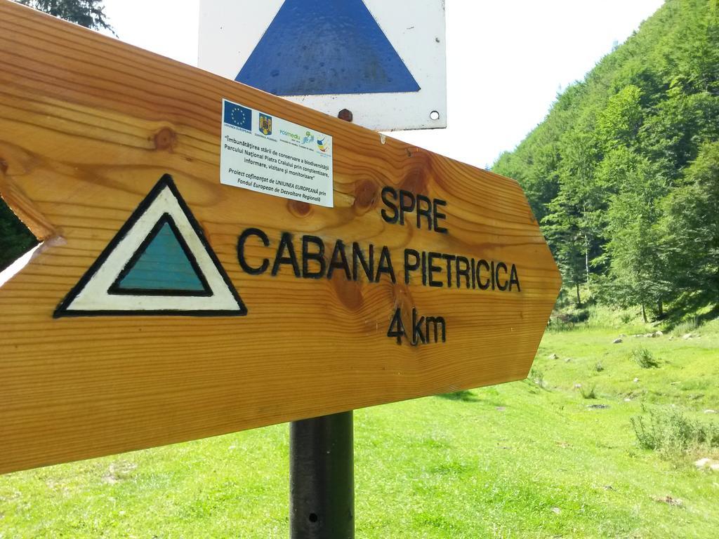 Dîmbovicioara Cabana Pietricica מראה חיצוני תמונה